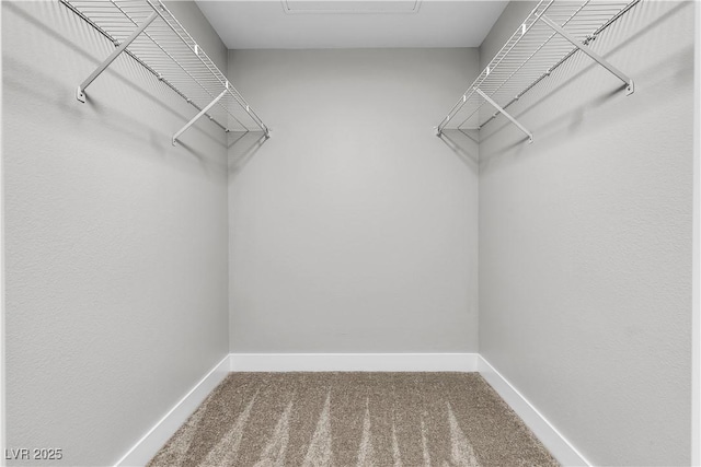 5710 E Tropicana Ave Unit 2152, Las Vegas, NV 89122 - walk in closet with carpet