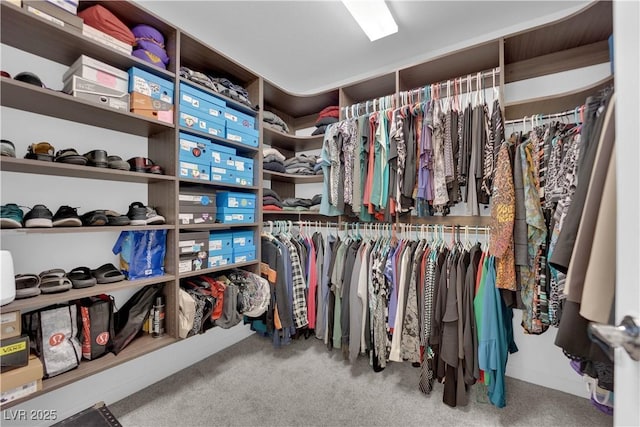 8178 Eaton Hill St, Las Vegas, NV 89113 - spacious closet with carpet