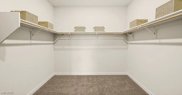 4200 E Brusca Way, Pahrump, NV 89061 - spacious closet with carpet floors