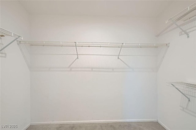 10241 Regents Cross Pl, Las Vegas, NV 89144 - walk in closet featuring light colored carpet