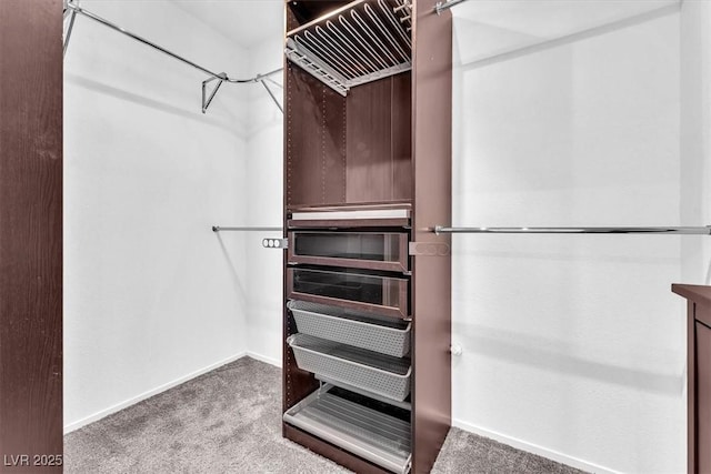 1088 Casady Hollow Ave, Henderson, NV 89012 - spacious closet with carpet