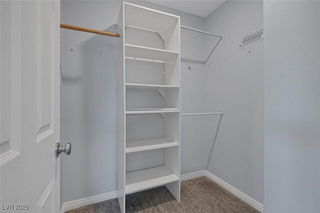 1130 Blissful Plains Ave, North Las Vegas, NV 89086 - spacious closet featuring carpet