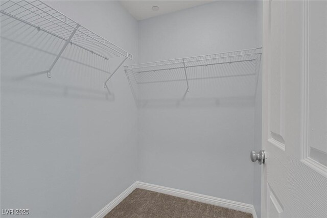 1130 Blissful Plains Ave, North Las Vegas, NV 89086 - walk in closet featuring dark colored carpet