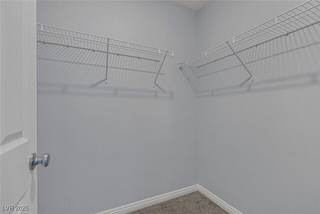 1130 Blissful Plains Ave, North Las Vegas, NV 89086 - walk in closet featuring carpet flooring