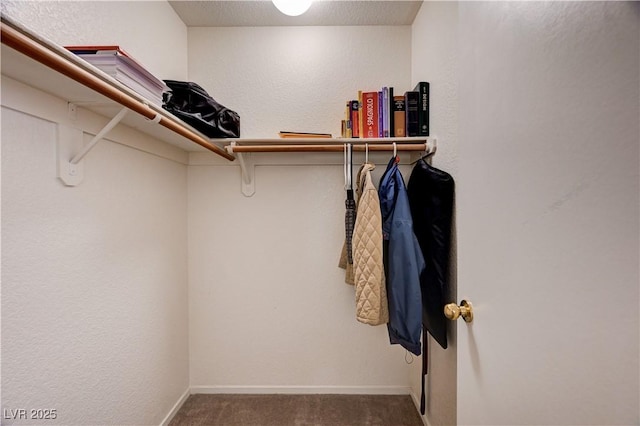 1902 Panther Pl, North Las Vegas, NV 89031 - walk in closet with carpet floors