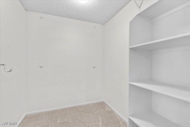 6997 Ray Charles Ln, Las Vegas, NV 89119 - view of storage area