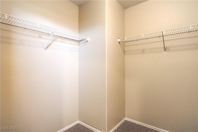 9073 Spoonbill Ridge Pl, Las Vegas, NV 89143 - walk in closet with carpet floors