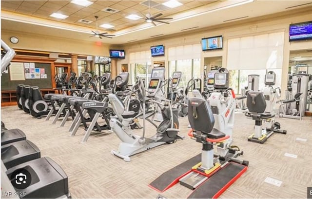 4208 Agosta Luna Pl, Las Vegas, NV 89135 - gym featuring a ceiling fan, healthy amount of natural light, carpet floors, a tray ceiling, and a drop ceiling