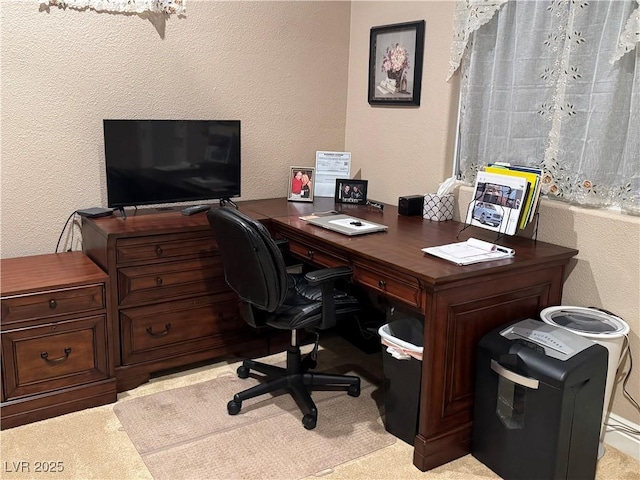 4208 Agosta Luna Pl, Las Vegas, NV 89135 - office space featuring a textured wall