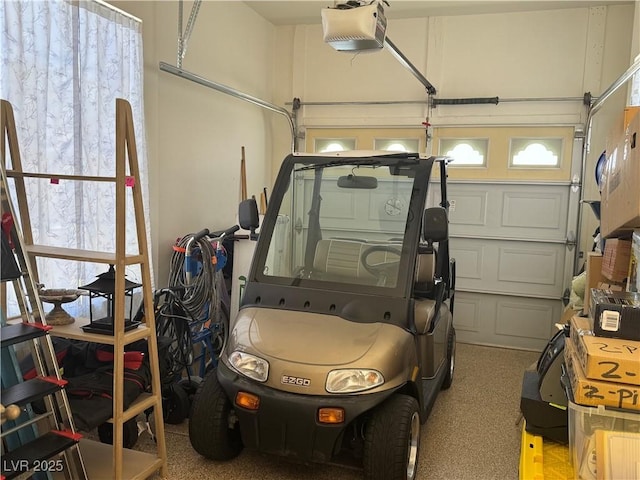 4208 Agosta Luna Pl, Las Vegas, NV 89135 - garage with a garage door opener