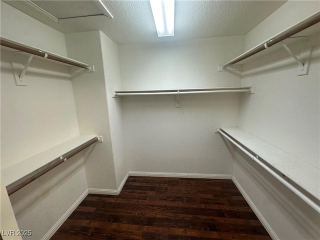 8215 Shell Beach Ct, Las Vegas, NV 89117 - spacious closet with dark wood finished floors