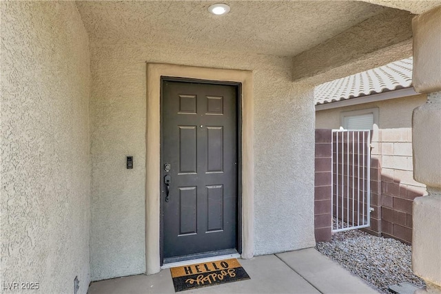 10554 Lilac Tree Ave, Las Vegas, NV 89135 - property entrance featuring stucco siding