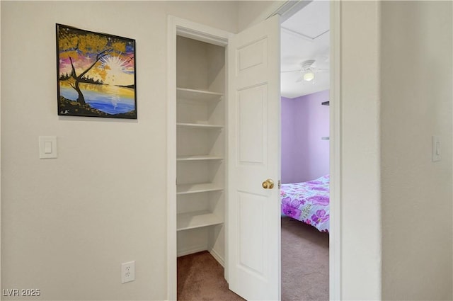 8333 Valley Stream Ave, Las Vegas, NV 89131 - view of closet