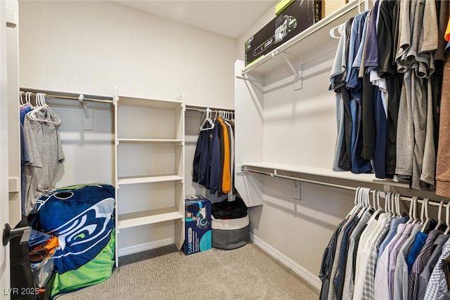 171 Palm Fox Ct, Henderson, NV 89011 - spacious closet featuring carpet