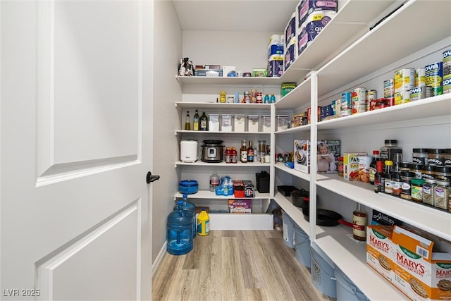 171 Palm Fox Ct, Henderson, NV 89011 - view of storage area