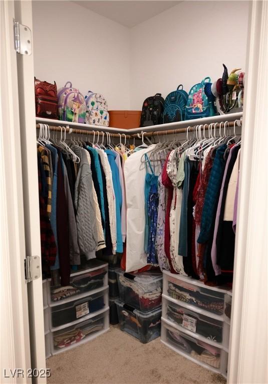 7342 N Decatur Blvd Unit 5, Las Vegas, NV 89131 - walk in closet featuring carpet