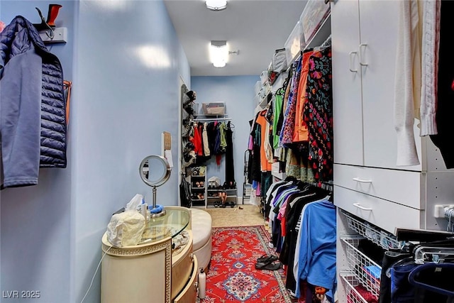 6230 Calm Brook Ct, Las Vegas, NV 89149 - view of spacious closet