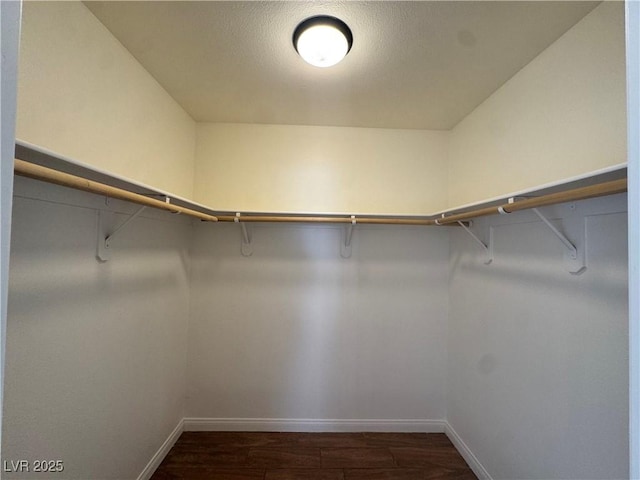 1505 Frank Aved St Unit 101, Las Vegas, NV 89110 - walk in closet featuring dark wood-type flooring