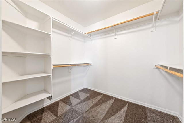 654 Mazelle Ln, Pahrump, NV 89060 - walk in closet with carpet flooring