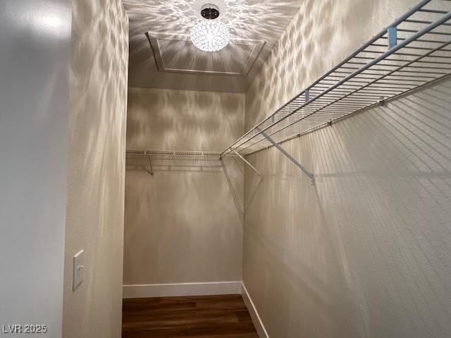 3005 Treasure Island Rd, Las Vegas, NV 89128 - spacious closet with wood finished floors