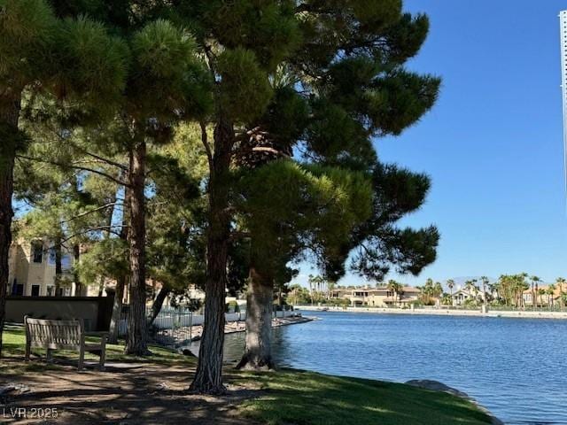 3005 Treasure Island Rd, Las Vegas, NV 89128 - water view