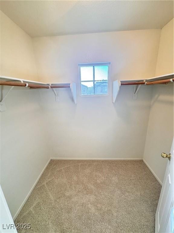 5653 Mount Athos St, North Las Vegas, NV 89031 - spacious closet with carpet
