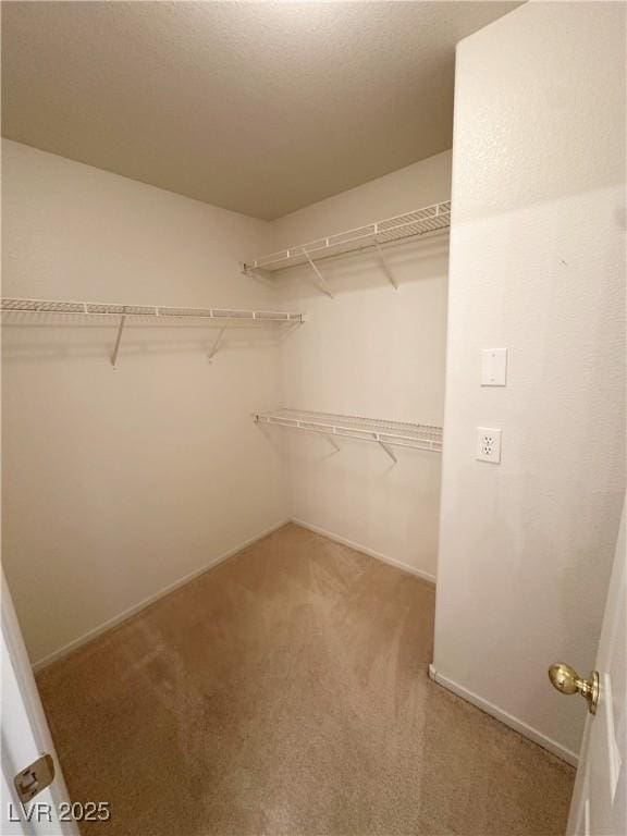 8682 Gateway Glen Dr, Las Vegas, NV 89178 - walk in closet featuring carpet floors