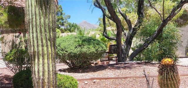 3013 Sungold Dr, Las Vegas, NV 89134 - photo 49