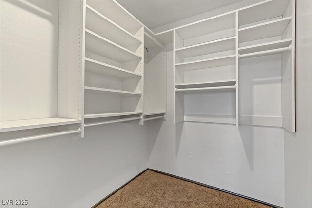 1390 Vegas Valley Dr Unit 26, Las Vegas, NV 89169 - walk in closet featuring carpet floors
