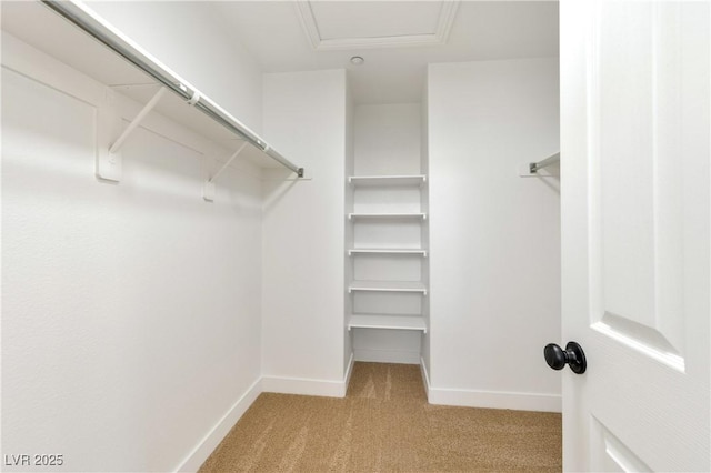 4779 Straight Flush Dr Unit 103, Las Vegas, NV 89122 - spacious closet with light carpet and attic access