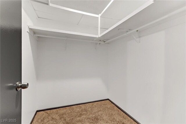 1390 Vegas Valley Dr Unit 32, Las Vegas, NV 89169 - walk in closet featuring carpet floors