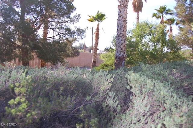 30 Diamond Bar Rd, Pahrump, NV 89048 - view of yard