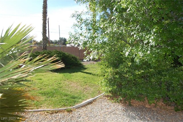 30 Diamond Bar Rd, Pahrump, NV 89048 - view of yard