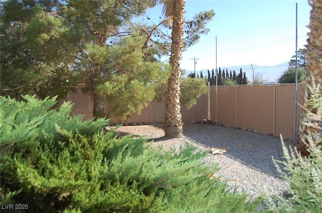 30 Diamond Bar Rd, Pahrump, NV 89048 - view of yard