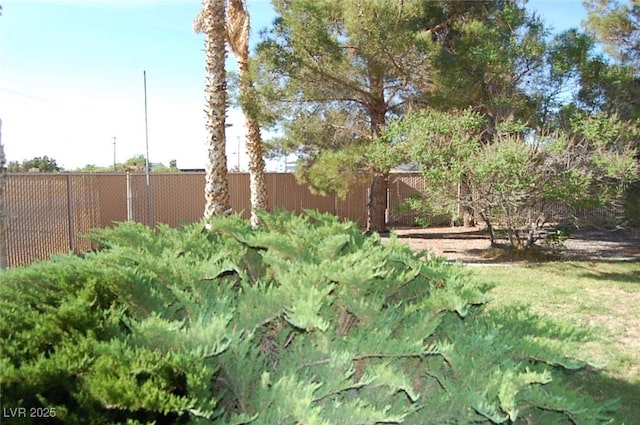 30 Diamond Bar Rd, Pahrump, NV 89048 - view of yard