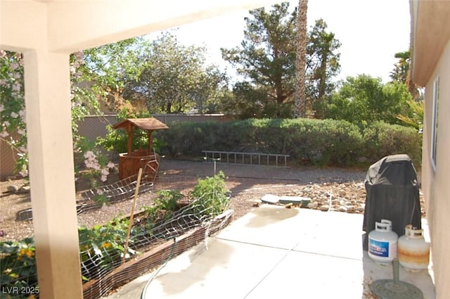 30 Diamond Bar Rd, Pahrump, NV 89048 - view of patio / terrace with a grill