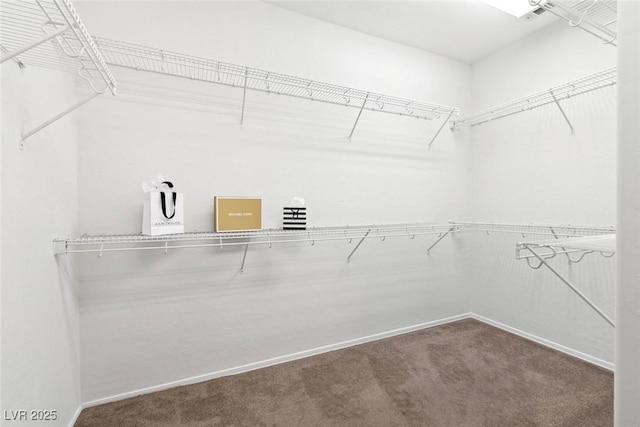 7448 Lintwhite St, North Las Vegas, NV 89084 - spacious closet with carpet flooring