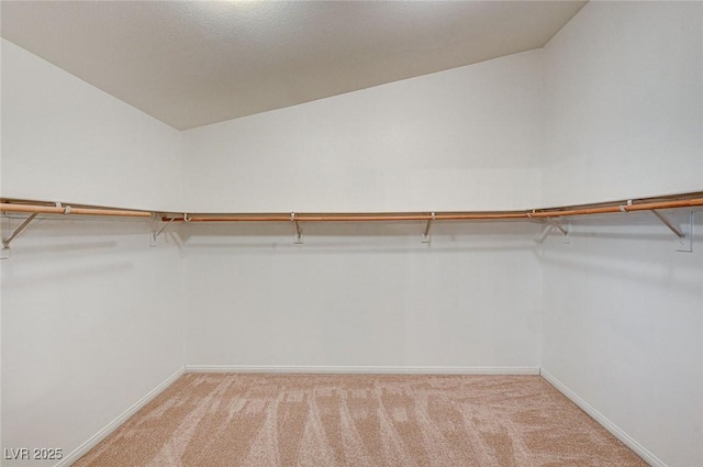 74 Harbor Coast St, Las Vegas, NV 89148 - walk in closet featuring light colored carpet