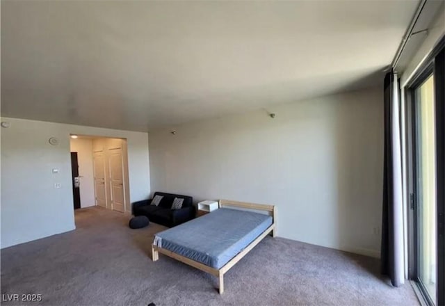 29 Montelago Blvd Unit 336, Henderson, NV 89011 - photo 56