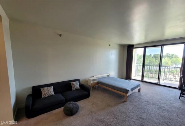 29 Montelago Blvd Unit 336, Henderson, NV 89011 - photo 58