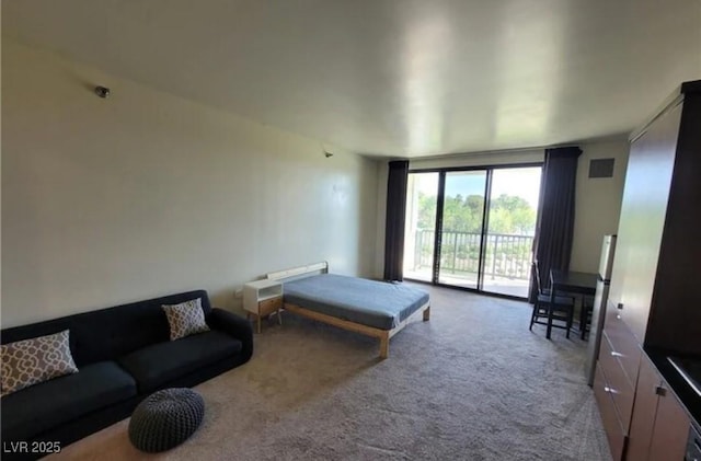 29 Montelago Blvd Unit 336, Henderson, NV 89011 - photo 59
