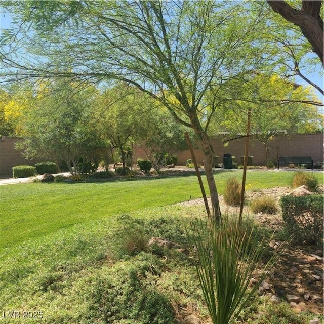 9229 Brayden Bay St, Las Vegas, NV 89178 - view of yard