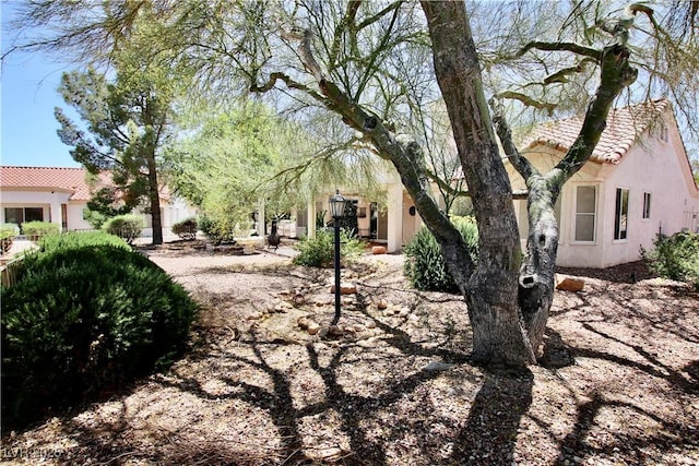 2820 Bluff Point Dr, Las Vegas, NV 89134 - view of yard
