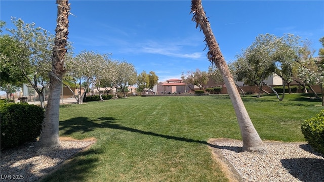 9053 Entrancing Ave, Las Vegas, NV 89149 - view of green lawn