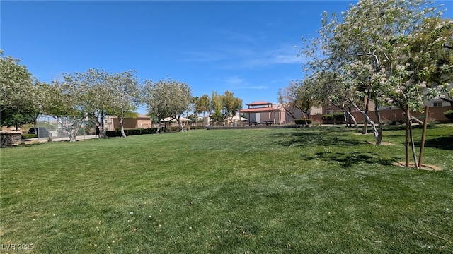 9053 Entrancing Ave, Las Vegas, NV 89149 - view of green lawn