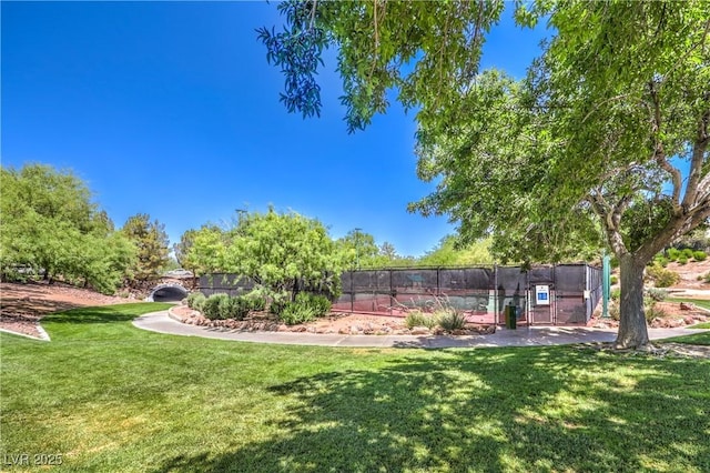 3020 Via Venezia, Henderson, NV 89052 - view of yard