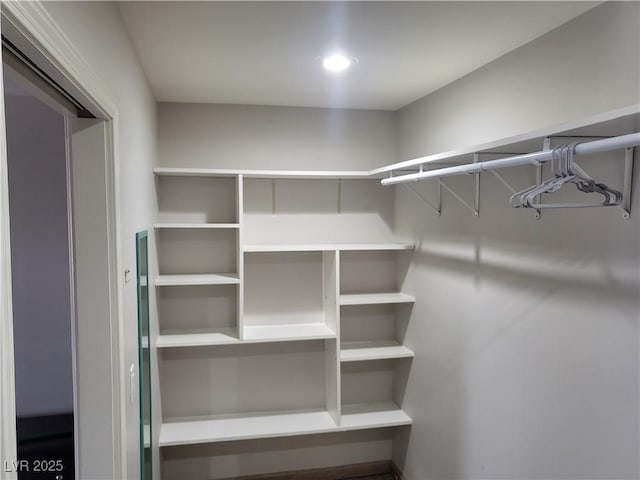 603 Palmhurst Dr, Las Vegas, NV 89145 - view of spacious closet