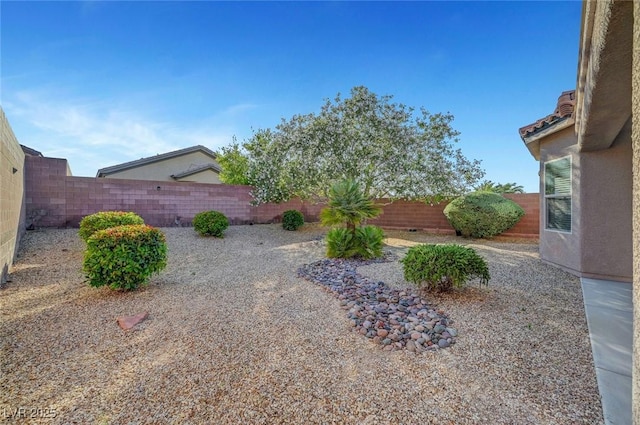 2613 Velodrome Ct, Henderson, NV 89044 - view of fenced backyard