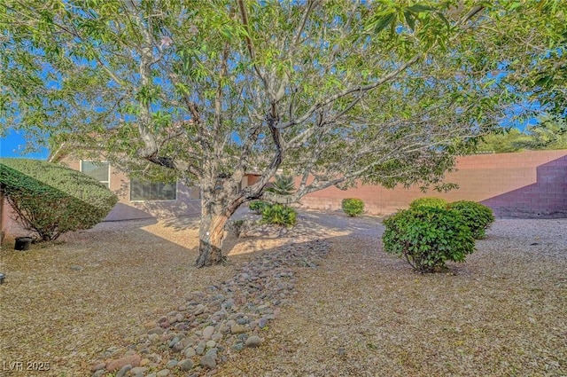 2613 Velodrome Ct, Henderson, NV 89044 - view of yard