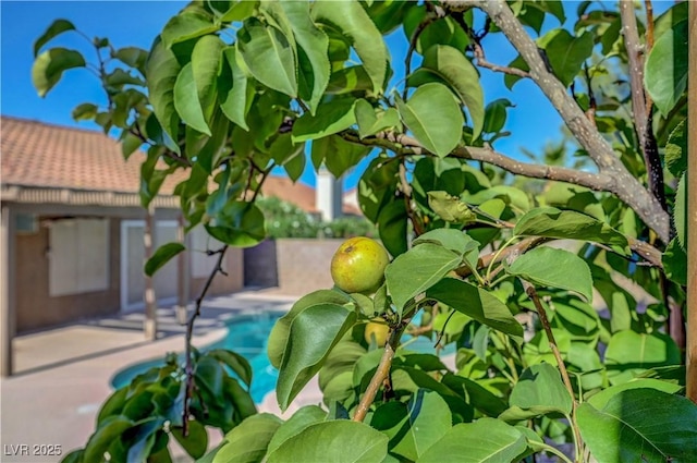 2711 Briarcliff Ave, Henderson, NV 89074 - exterior view